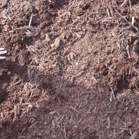 Mulch_chocolate